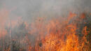 2 км пожар гори в Ямболско