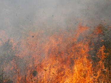 Пожар бушува в Старозагорско, близо до дом „Майка и дете”