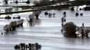 Над 100 селища са наводнени в Русия