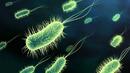 Откриха "супер" бактерия, която почти не се храни