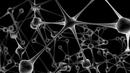 Мозъчни клетки в силициеви чипове