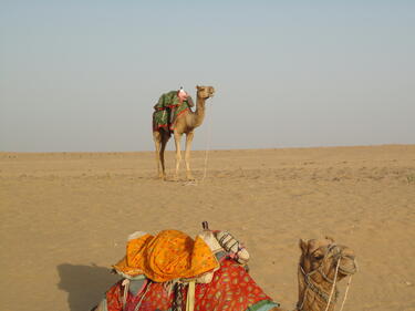 Това не е виц: Таксиджия пъди мюсюлманин да се качи на камила