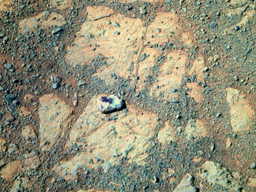 À така! На Марс поникна гъба!
