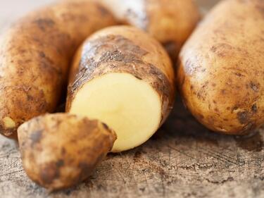 Производителите на картофи в Смолян не могат да продадат продукцията си