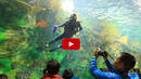 СМАЗВАЩО:Вижте как най-големият аквариум ще ви погълне (ВИДЕО)