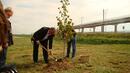 Станишев засади топола в подножието на „Дунав мост 2“
