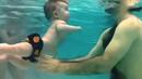 Ето защо бебетата са най-добрите плувци на света (ВИДЕО)
