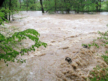 Река Огоста излезе от коритото си и наводни 2 къщи
