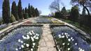 Върнаха Ботаническата градина в Балчик на Софийския университет