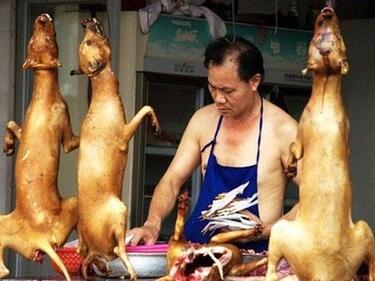 Куче вместо агне за обед? В китайски ресторант в Бургас е възможно