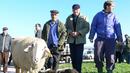 Експерти разясняват преструктурирането на фермите в Севлиево