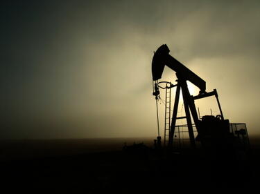 Рекорден спад в цената на лекия суров петрол