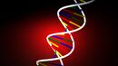 Развенчаха мит за човешкото ДНК 