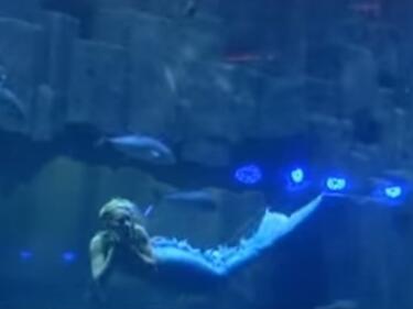 Русалка плува в аквариум в Париж (ВИДЕО)