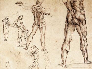 Нова книга вдъхва живот на Леонардо да Винчи 