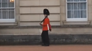 Гвардеец показа уникални танцови умения пред Бъкингамския дворец (ВИДЕО)
