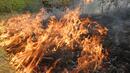 От запалено стърнище тръгна нов пожар край Гостун