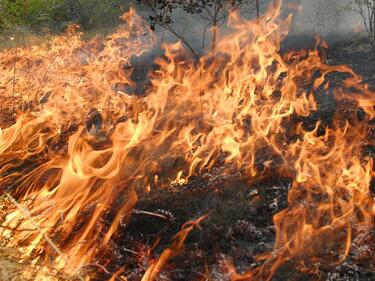 От запалено стърнище тръгна нов пожар край Гостун