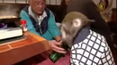Маймуни влязоха в ресторантьорския бизнес (ВИДЕО)