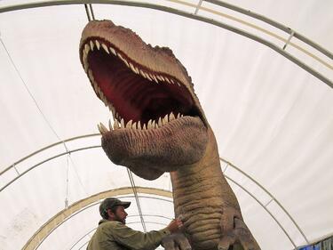Динозаври в реални размери в Плевен 