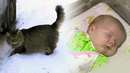 Котка спаси живота на изоставено бебе (СНИМКИ)
