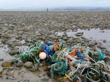 Световните океани са задръстени от милиони тонове пластмаса 

