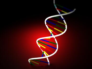 Всички знания на човечеството – в лъжичка ДНК