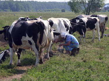 Спад в цените на земеделската продукция