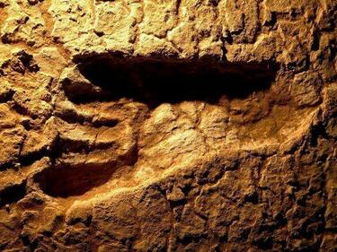 Човешки следи на 13 000 години откриха в Канада