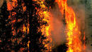 Само за 14 дни 9521 дка гори бяха унищожени от пожари
