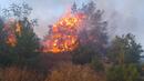 Два големи горски пожара бушуват в Тетевенско