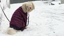 Синоптици: Идва кучешки студ! Минус 20 градуса