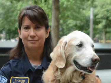 Почина последното куче, спасявало хора в 9/11
