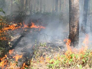 Червен код за опасност от пожари в Хасковска област
