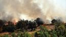 Няколко големи пожара избухнаха край Пловдив