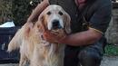 Откриха живо куче под развалините 9 дни след земетресението в Италия