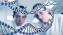 Как гените предопределят съдбата и сексуалното ни поведение