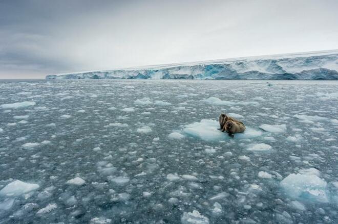 Наша гордост! БГ кадър в топ 20 на National Geographic