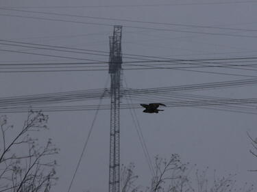 Множество аварии оставиха без ток части от Хасково и Поморие