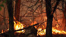 Страховит горски пожар унищожи цял град