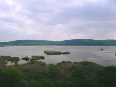 Драстично намалява броят на традиционни обитатели на езерото “Сребърна“