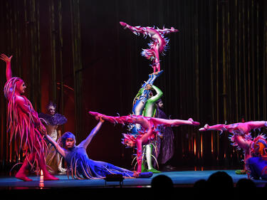 Уникални костюми в шоуто Cirque du Soleil