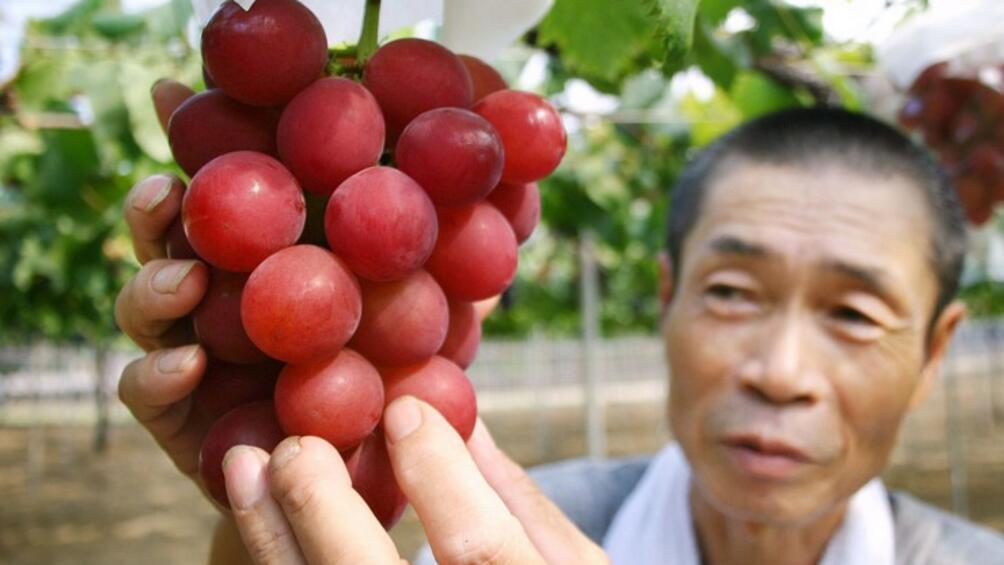 Чепка грозде от сорта Римски рубин Ruby Roman бе продадена в петък на търг