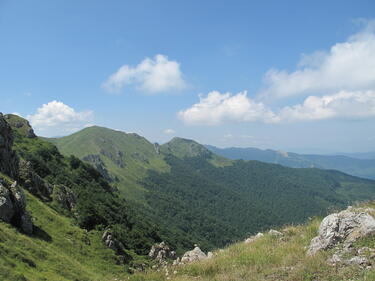 Вековните букови гори в Централен Балкан вече са в списъка на ЮНЕСКО