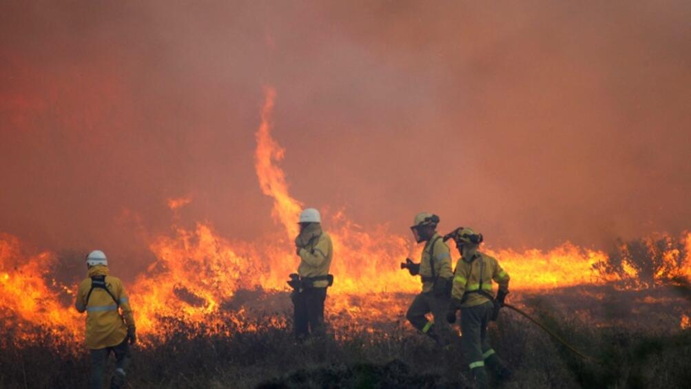 Големи горски пожари в Канада принудиха властите в страната да