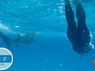 Майкъл Фелпс с 2 секунди по-бавен от бяла акула (СНИМКИ/ВИДЕО)