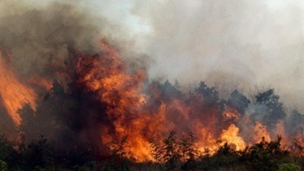 Големи горски пожари горят в няколко департамента на Южна Франция