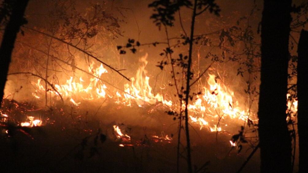 Македония продължава да се бори с множеството пожари вече две