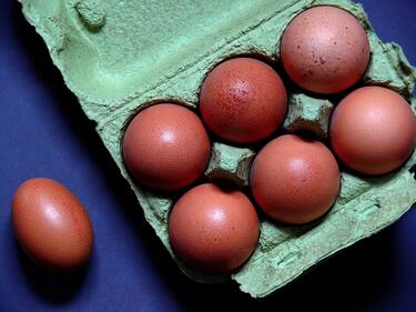 Заразени яйца на прах и в България