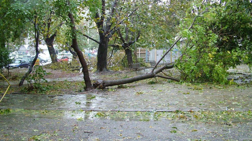 Силна буря връхлетя днес Южна Чехия. Вследствие на природното бедствие